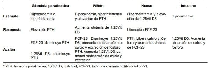 Hiperparatiroidismo Primario - control del calcio, fósforo y vitamina D