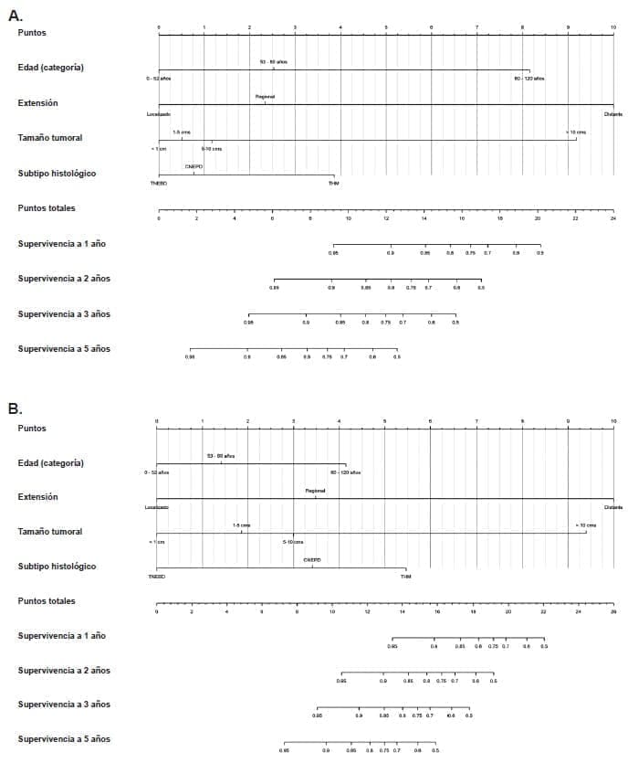 Tumores neuroendocrinos apendiculares sobrevida general Tumores neuroendocrinos apendiculares sobrevida general