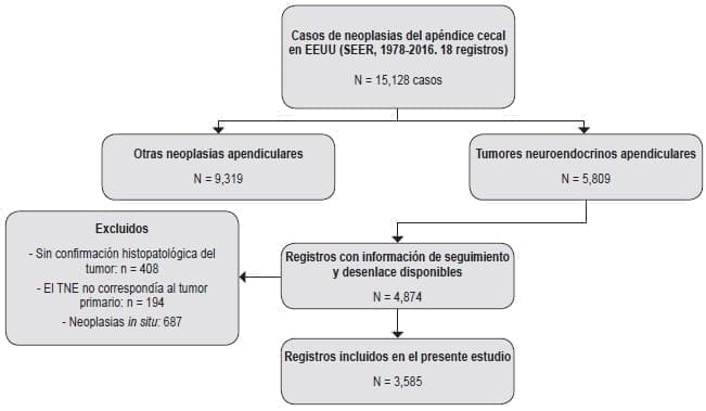 Casos de tumores neuroendocrinos del apéndice cecal Casos de tumores neuroendocrinos del apéndice cecal