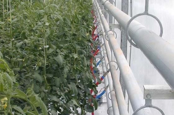 Calefacción por Combustión Heladas