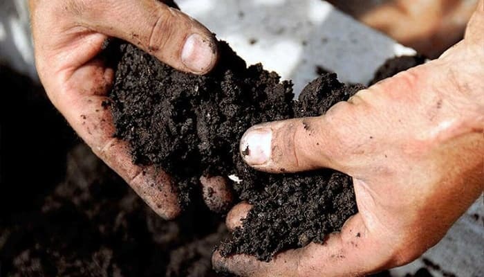 Realizar un análisis de suelo