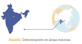 Riesgos y lecciones de la militarización verde en India