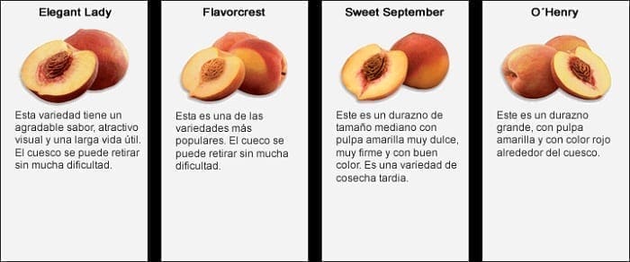 Tipos de Durazno