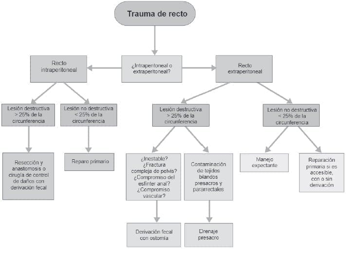 Trauma de recto