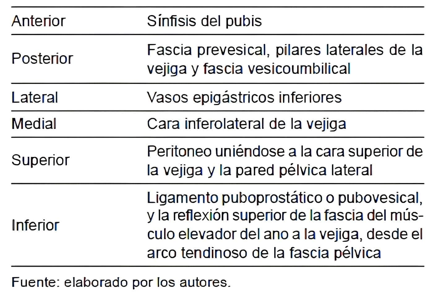 Límites del espacio de Retzius Límites del espacio de Retzius