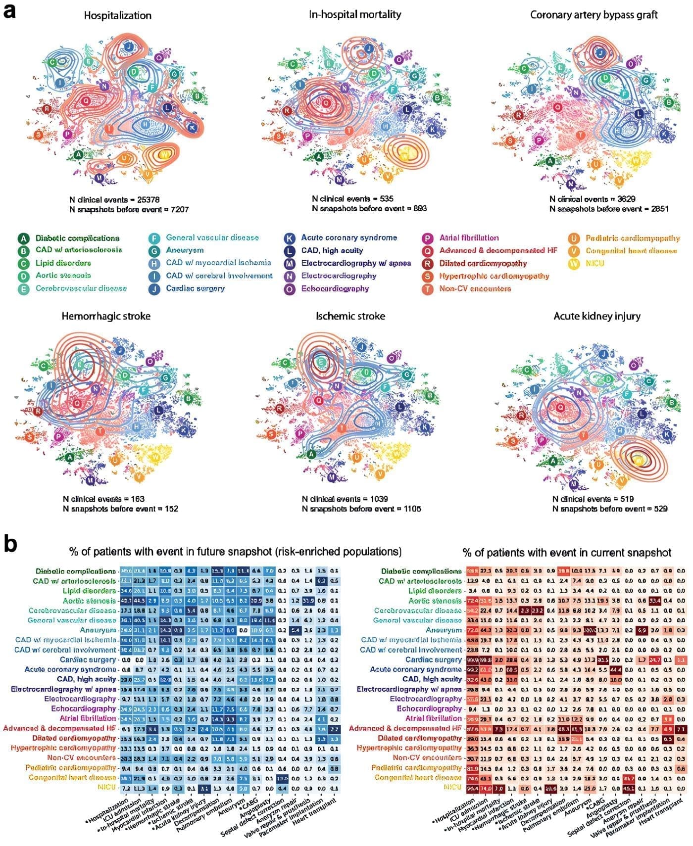 Enriquecimiento del riesgo actual y futuro de eventos clínicos en estados patológicos de IC Enriquecimiento del riesgo actual y futuro de eventos clínicos en estados patológicos de IC
