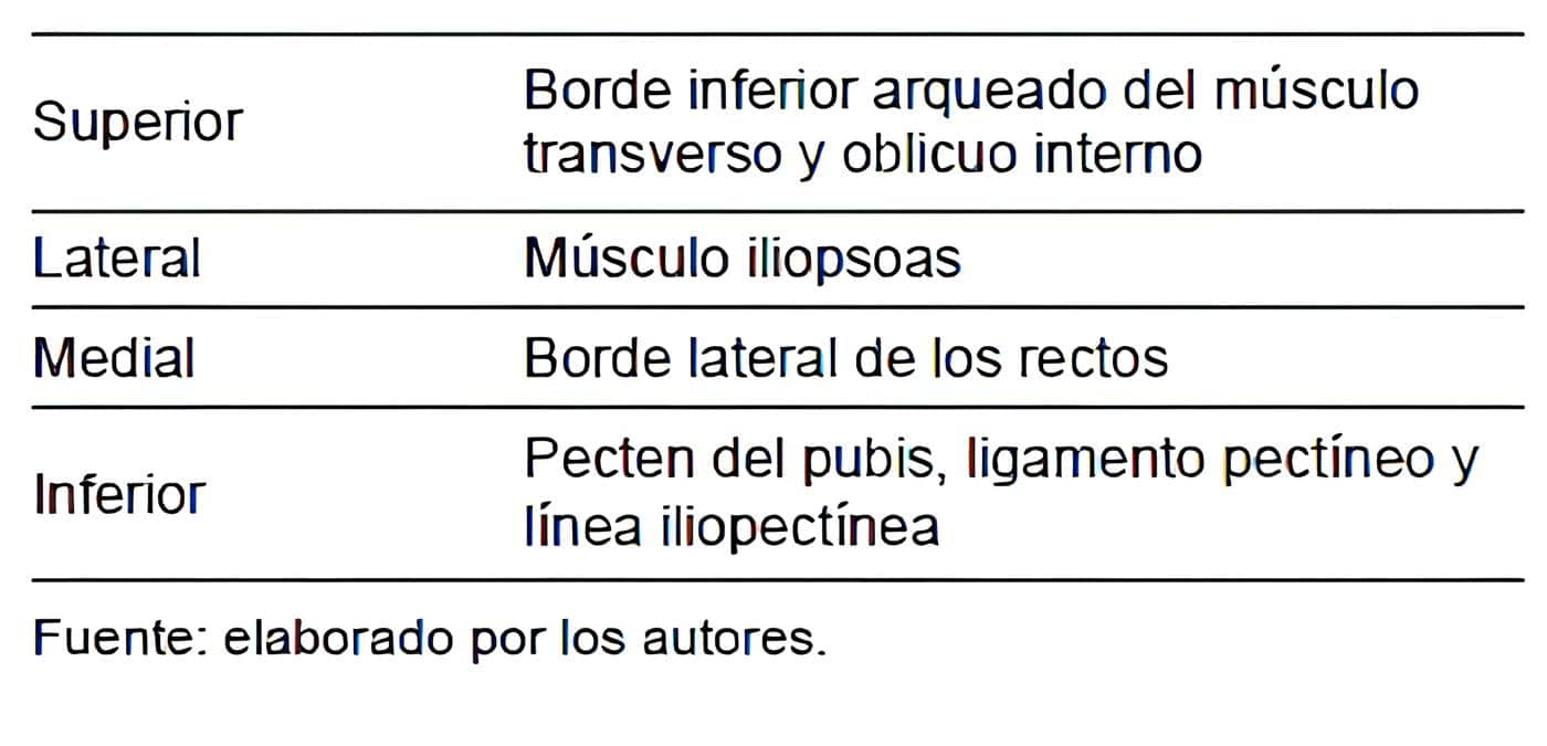 Límites del orificio miopectíneo de Fruchaud. Límites del orificio miopectíneo de Fruchaud.