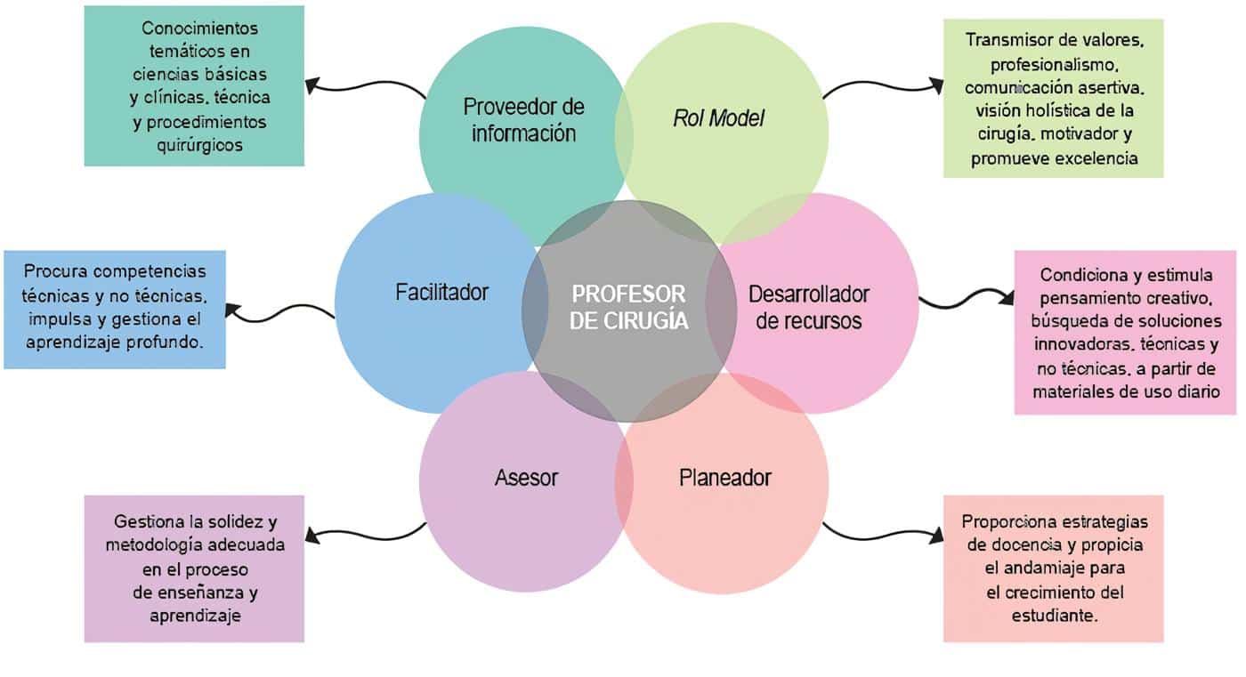 Roles de los profesores de cirugía Roles de los profesores de cirugía