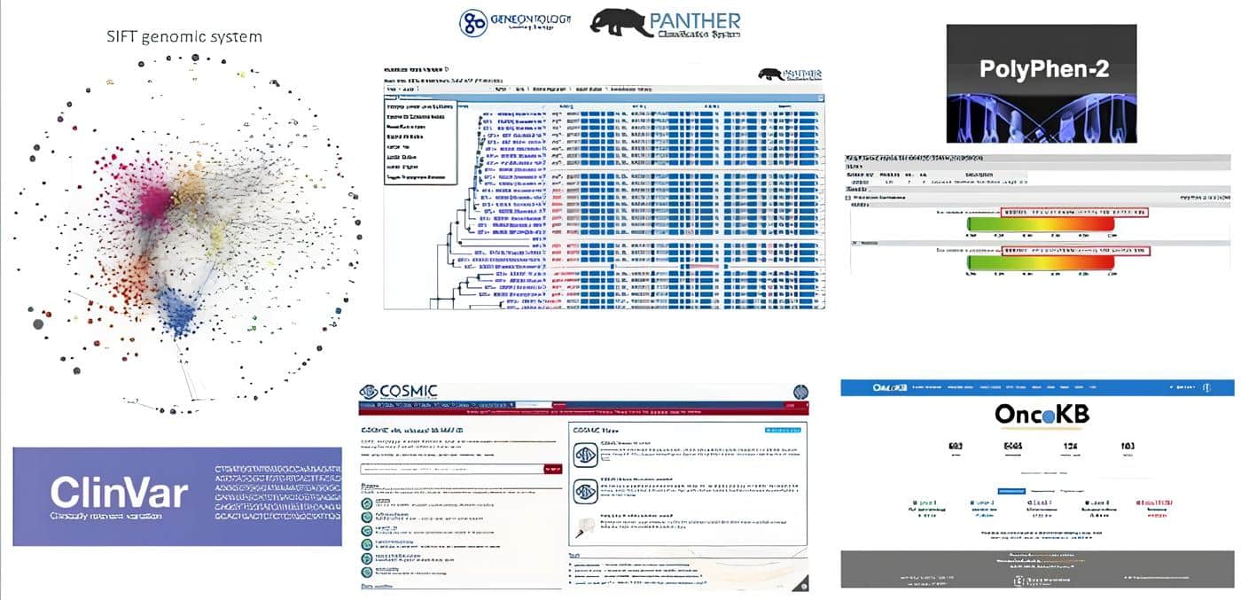 Datos genómicas como ClinVar, COSMIC y OncoKB Datos genómicas como ClinVar, COSMIC y OncoKB