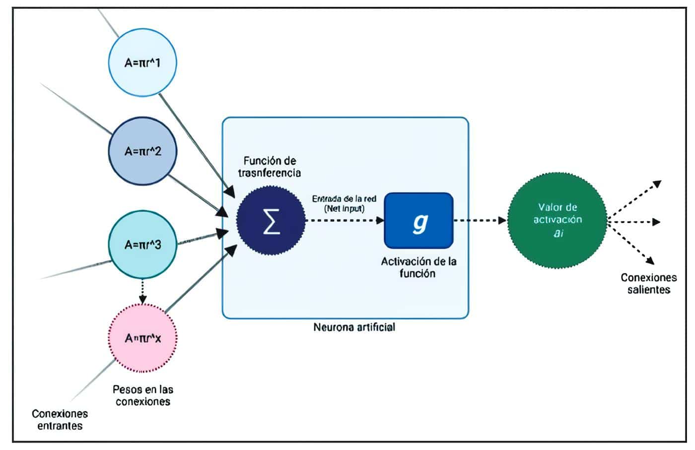 Estructura actual de una neurona
