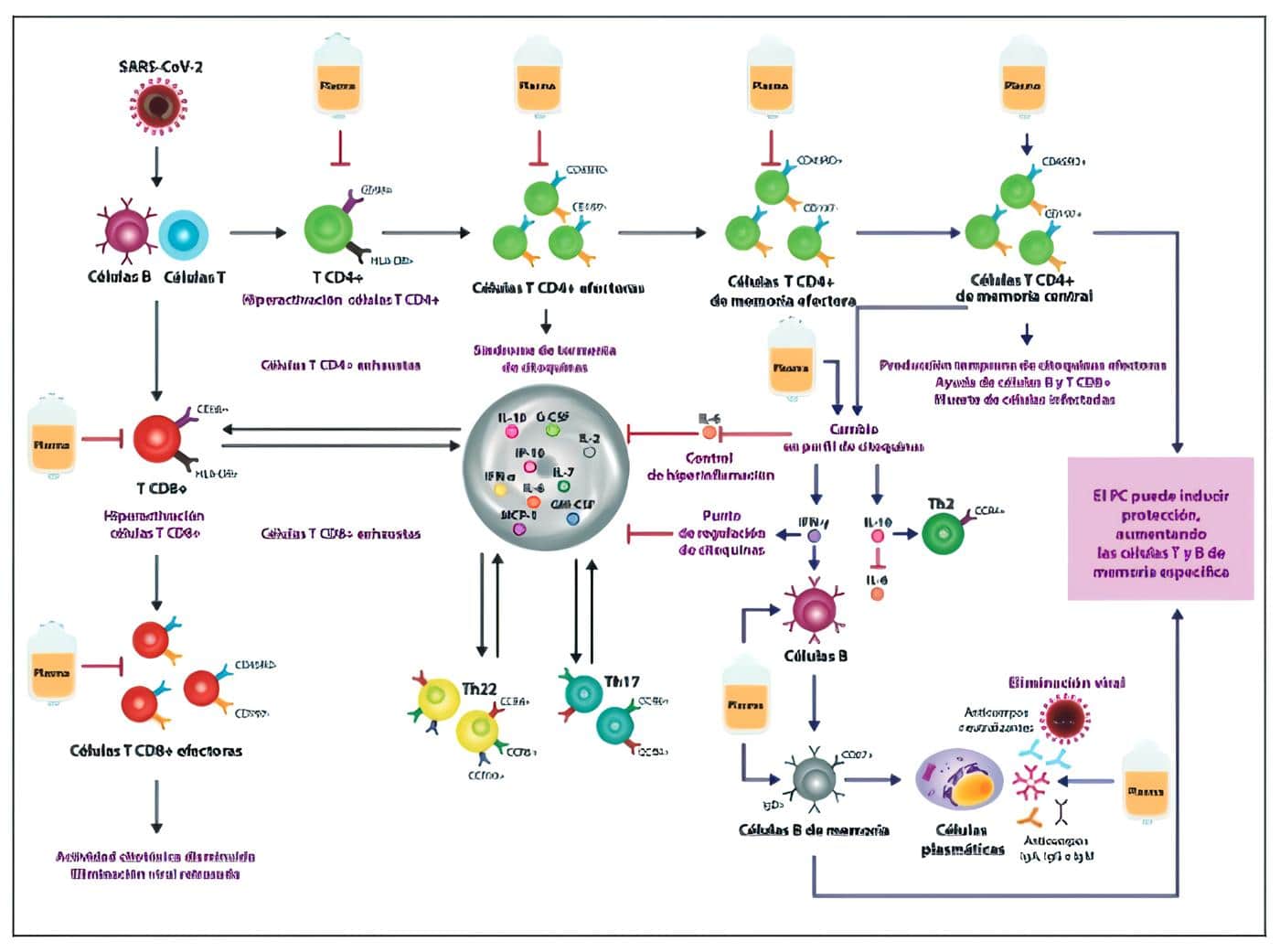 Pacientes con COVID-19 severo Pacientes con COVID-19 severo