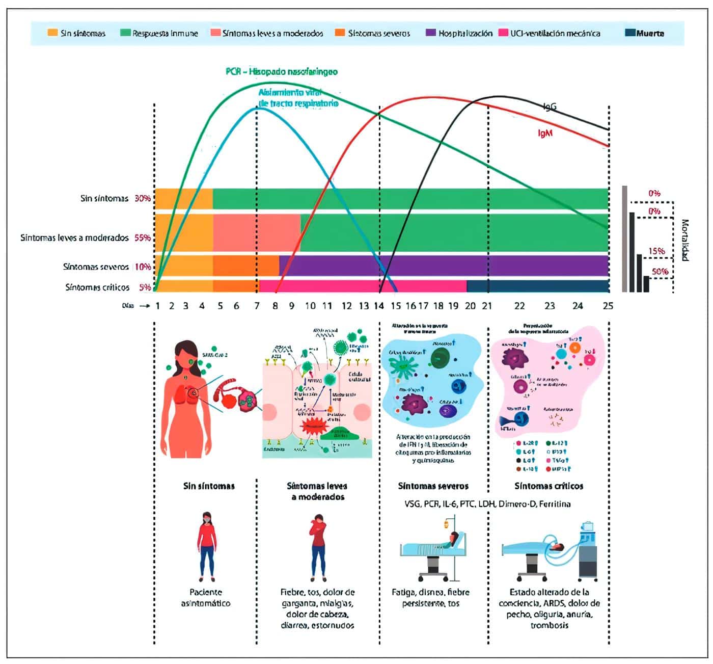 Resumen traslacional de la COVID-19 Resumen traslacional de la COVID-19