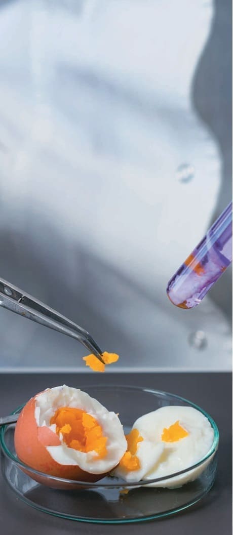 características de las proteínas del huevo