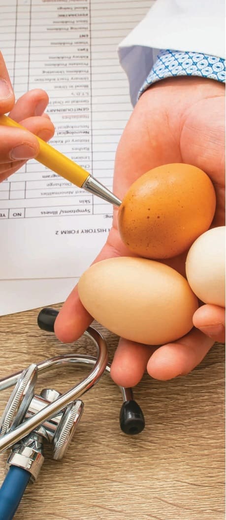 Consumo de huevo y eventos de ECV mortalidad