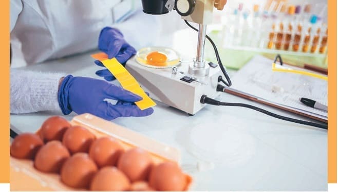 Estudio huevo y diabetes tipo 2.jpg