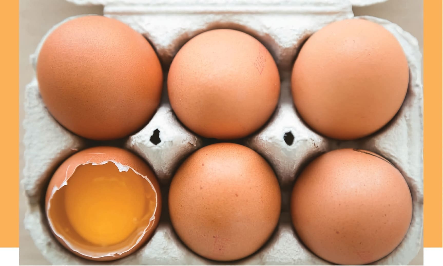 La proteína del huevo punto de referencia