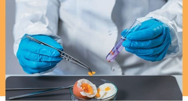 resultados estudio ingesta de huevos