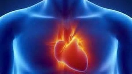 CARDIOVASCULAR.jpg