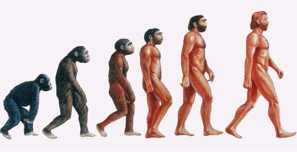 homo-sapiens.jpg
