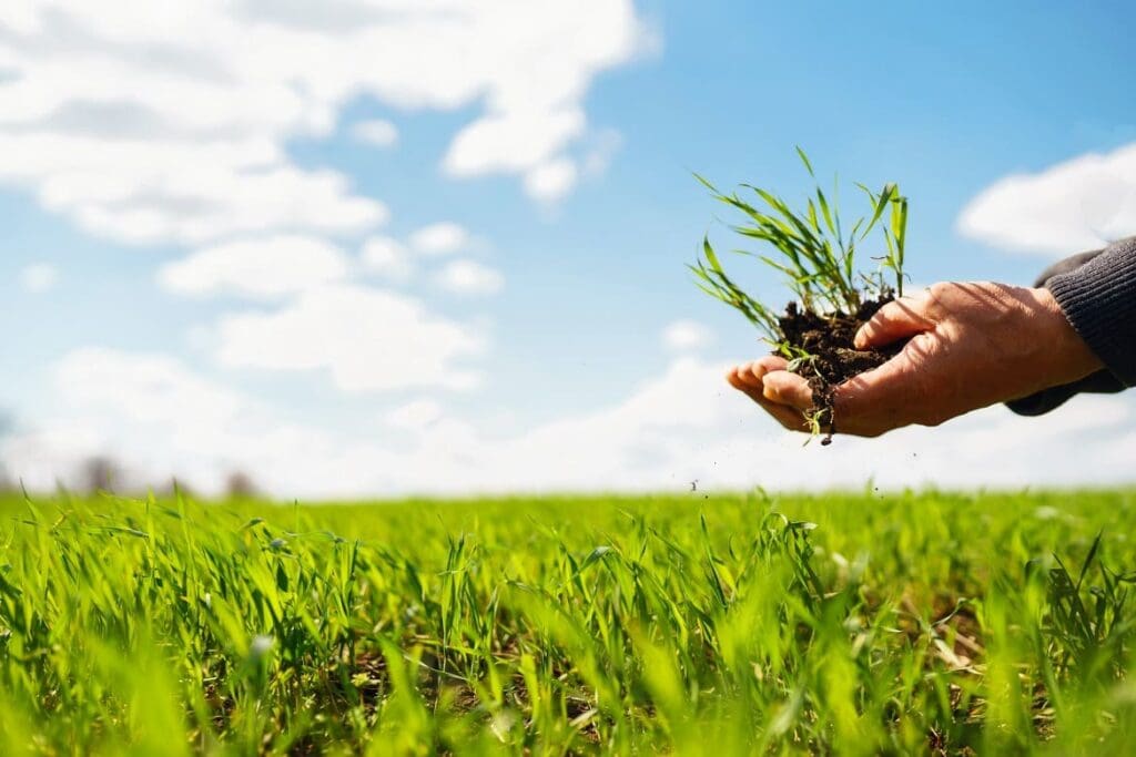 Microorganismos en la agricultura