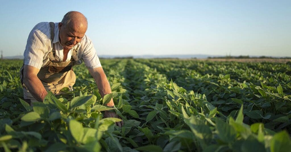 Estrategias para reducir la huella de carbono en la producción de alimentos