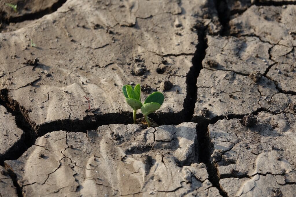 Impacto del Cambio Climático en la Salinidad del Suelo