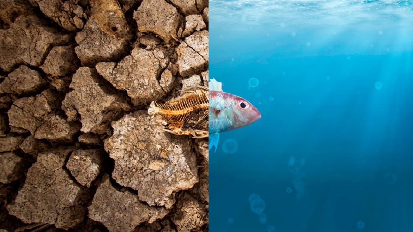 impacto del fenomeno de la niña