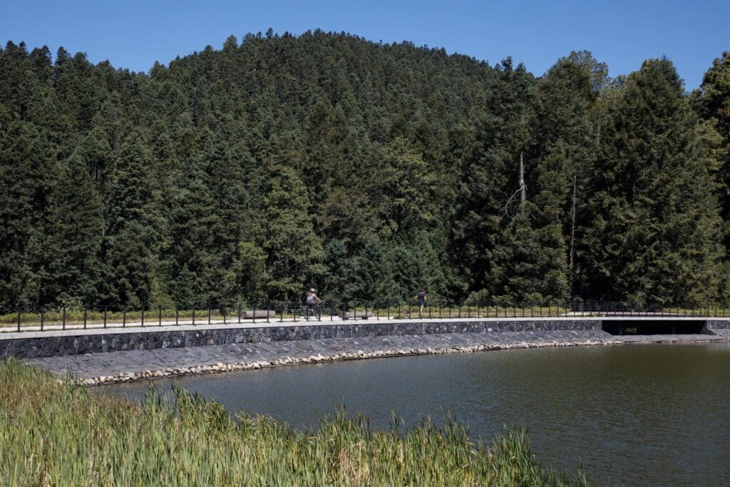 Agua regenerativa, nuevas estrategias para manejar recursos hídricos