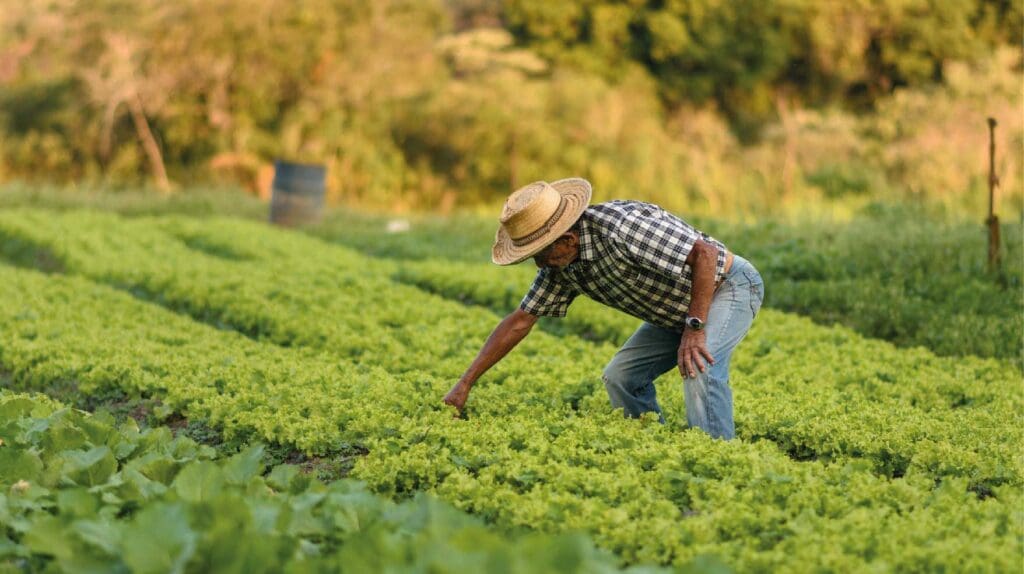 Prácticas agrícolas para la conservación del agua