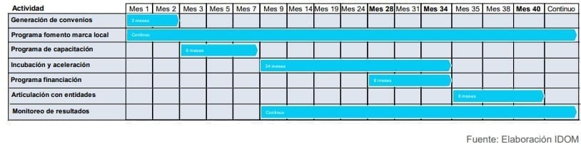 Ilustración 8. Cronograma estrategia de Aceleración