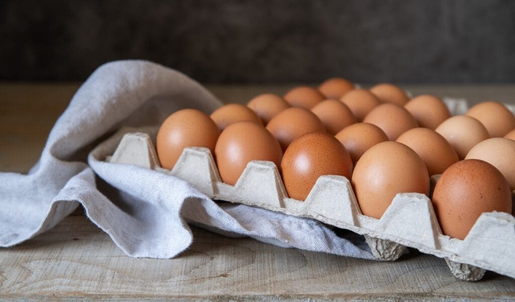 Las cubetas de huevo son de un solo uso